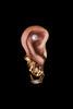 ear stacking image